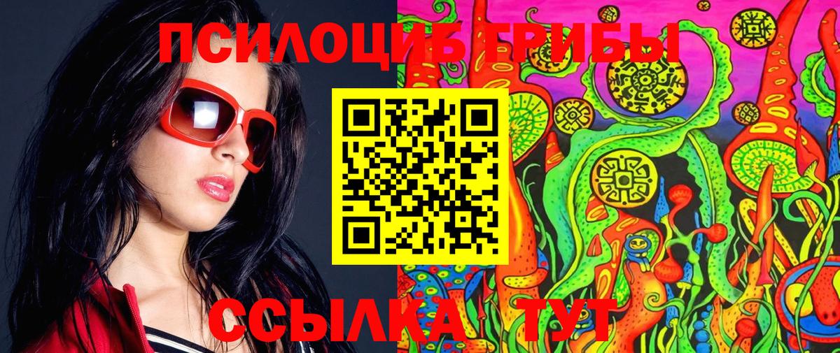 Галлюциногенные грибы Psilocybe Кстово