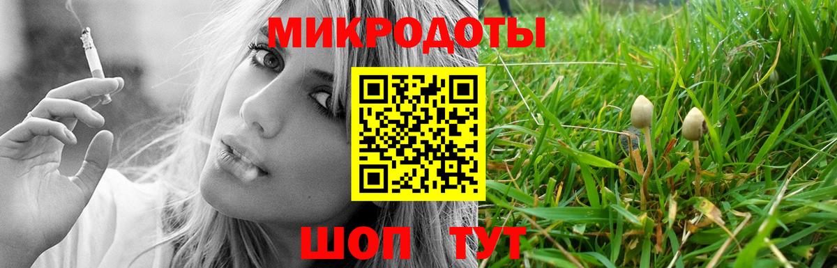 Кстово  Галлюциногенные грибы Psilocybe  Вход с VPN 